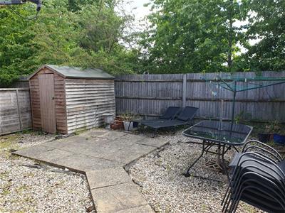 Picture 11